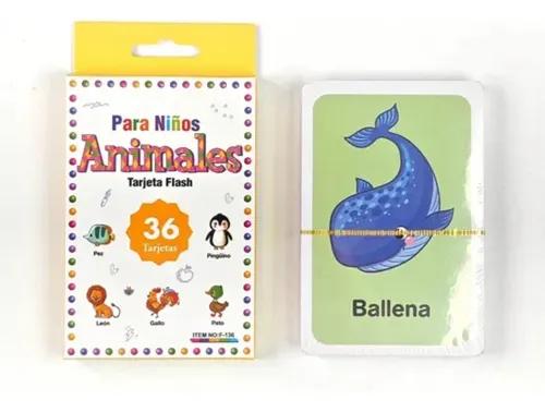Set Tarjeta Aprendizaje Didáctico Imágenes Para Niños