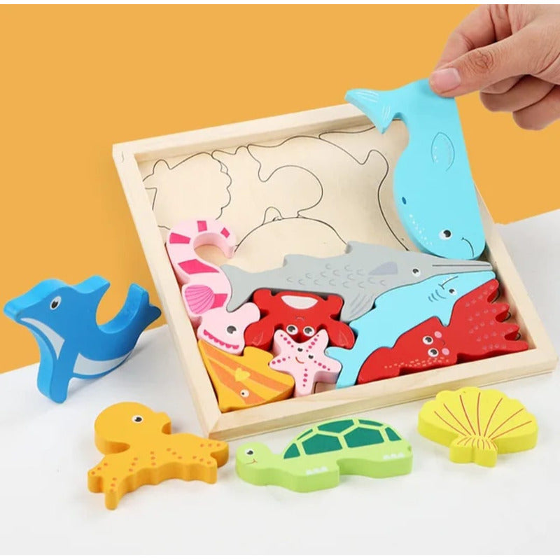 Juego Encaje Rompecabezas Puzzles Madera 3d Niños Montessori