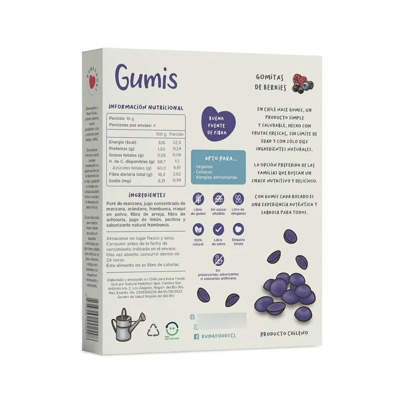 Mix Gumis Gomitas De Frutas Kuna - Niños
