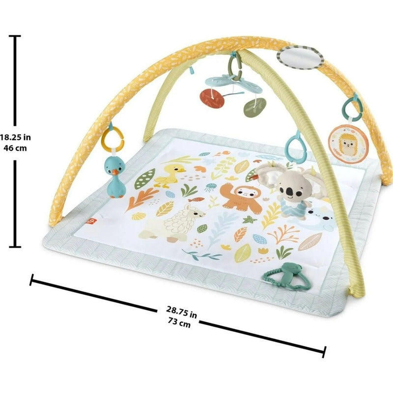 Gimnasio Para Bebé Primeros Sentidos Fisher Price
