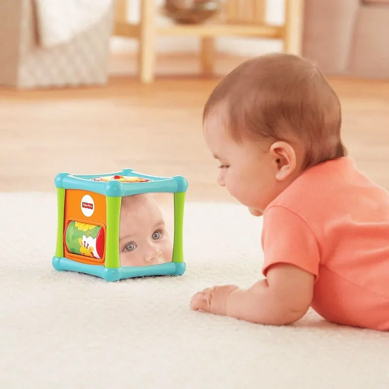 Cubo Animalitos Bebe Fisher Price Juego Didáctico