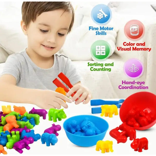 Juguete De Clasificación Colores Y Forma Montessori Niño