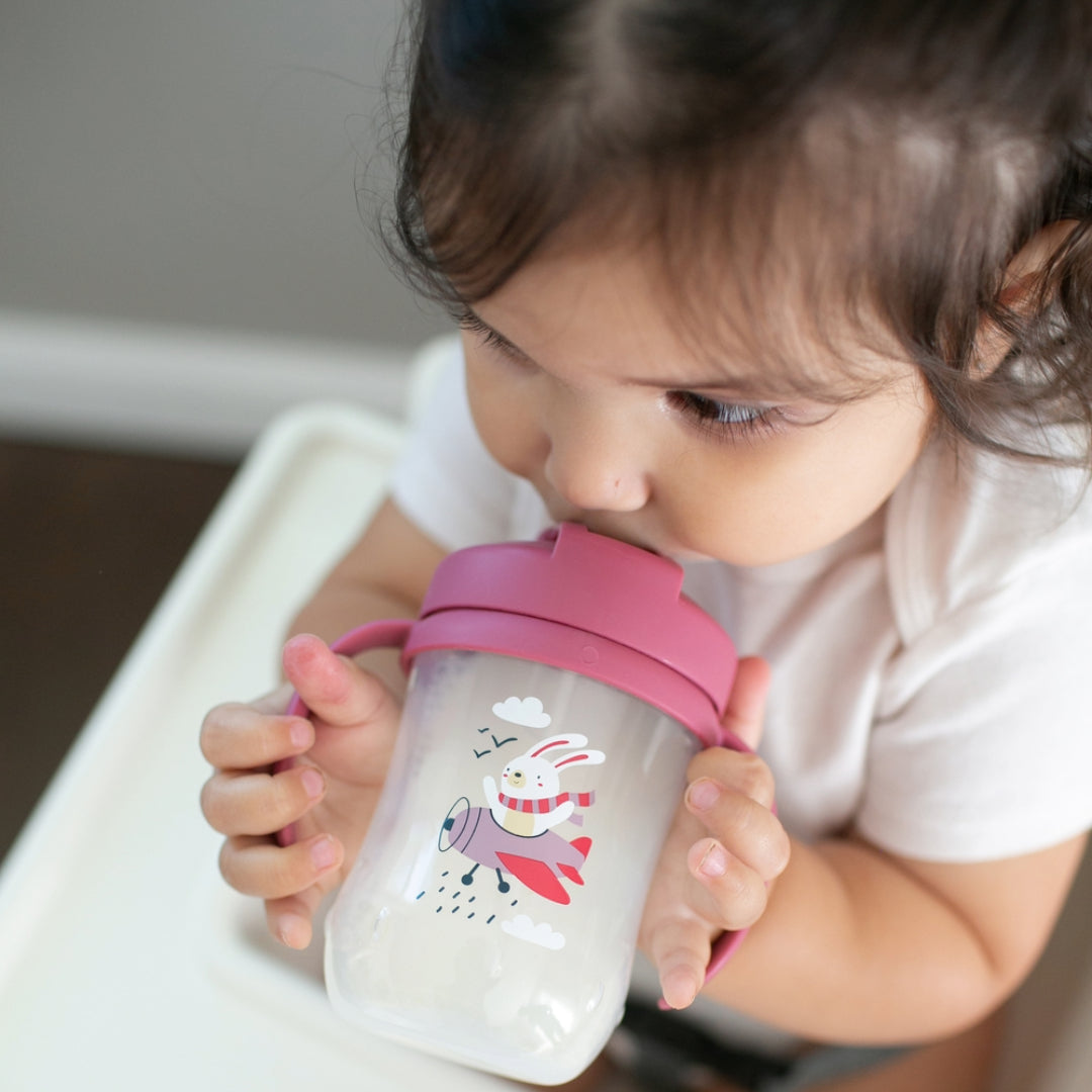 Vaso Con Asas Y Bombilla 270ml 6m+ Dr. Brown's